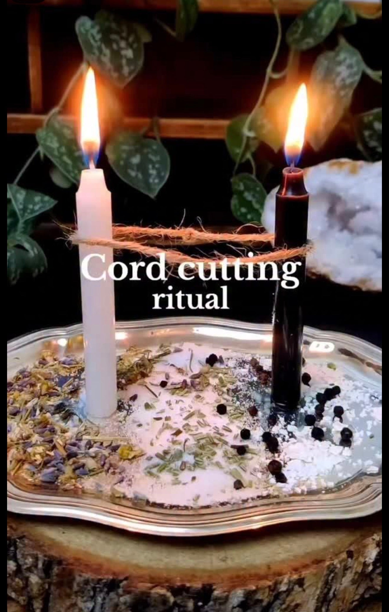 Cord Cutting From a toxic Situation